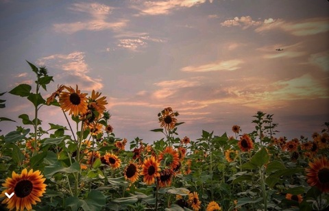 Video leaks xo.breezyyyy