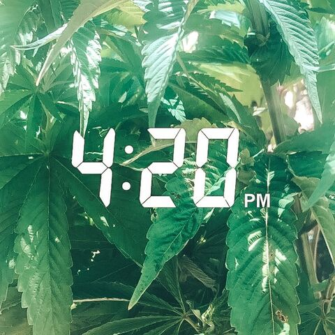 Video leaks xo420honey