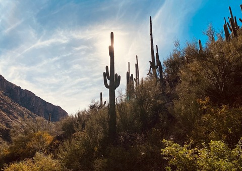 Video leaks xrichgoodx