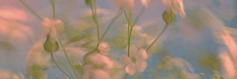 Video leaks xshantalx