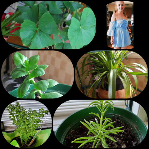 Video leaks xslim-fitx