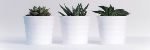 Video leaks xxcyrusmariexx