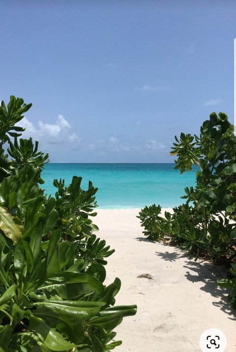 Video leaks yarafonsecapr