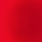 youlit Profile Picture