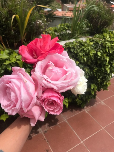 Video leaks yourfavoriteb1tch