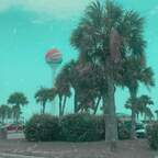 zanesville Profile Picture