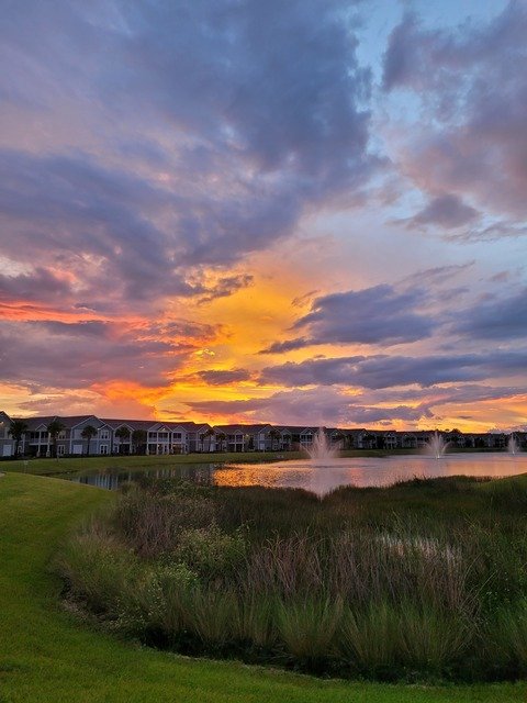 Video leaks zendestine